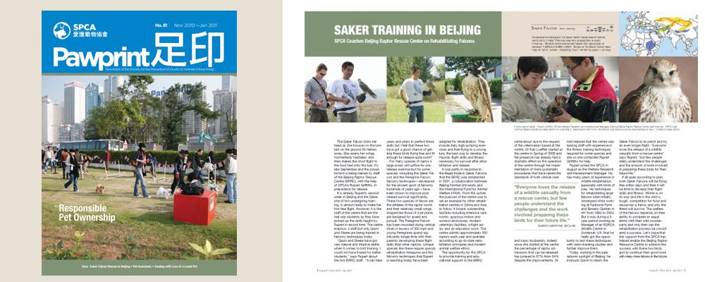 SPCA – masthead / magazine