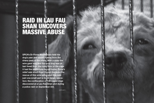 Fighting against animal cruelty